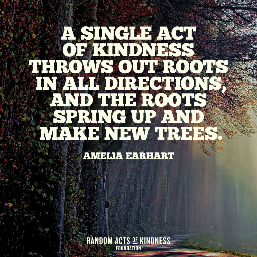 Act Of Kindness Quotes
 Random Acts of Kindness Kindness Quote