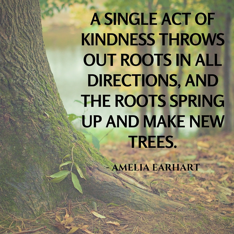 Act Of Kindness Quotes
 Being Kind Quotes