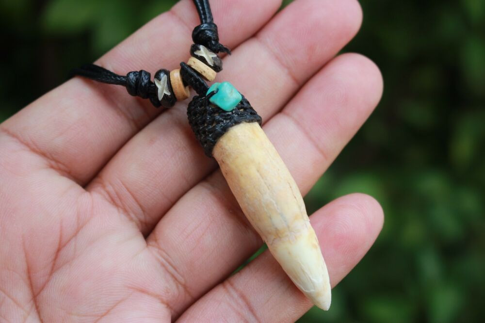 Alligator Tooth Necklace
 BIG Genuine Crocodile Tooth Necklace Turquoise Wax Cord