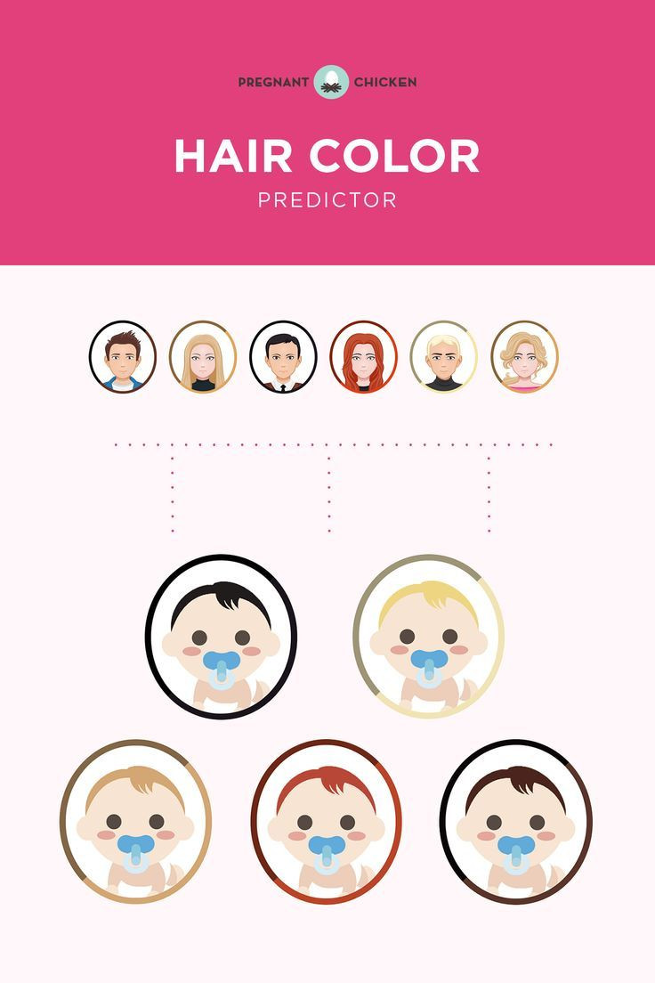 Baby Eye And Hair Color Predictor
 What Color Hair Will My Baby Have Baby Hair Color