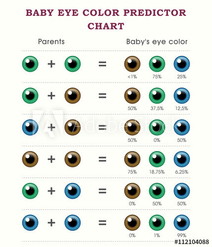 Baby Eye And Hair Color Predictor
 "Baby eye color predictor chart template" Stock image and