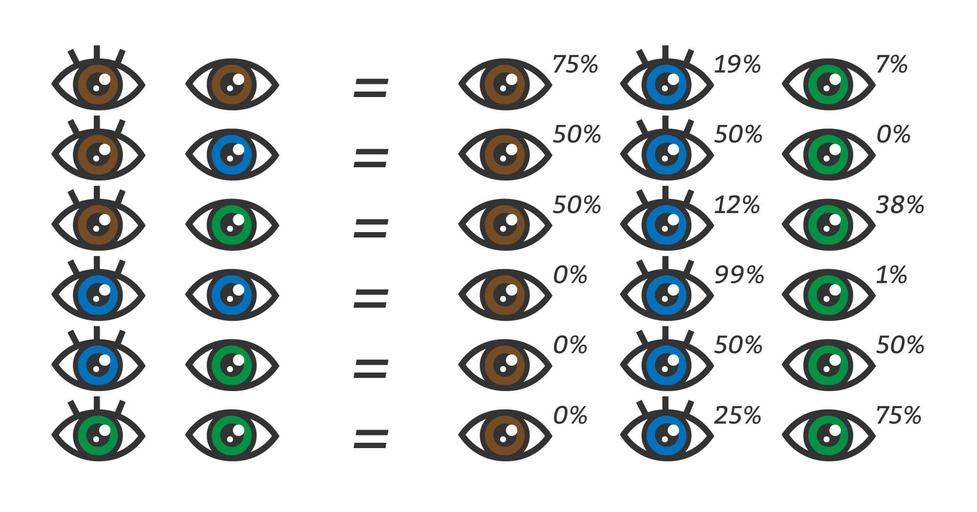Baby Eye And Hair Color Predictor
 Eye Color Genetics Predictor