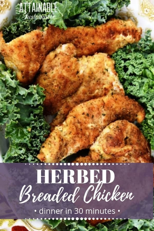 Baked Breaded Chicken Breast
 Baked Breaded Chicken Breast Recipe Attainable Sustainable