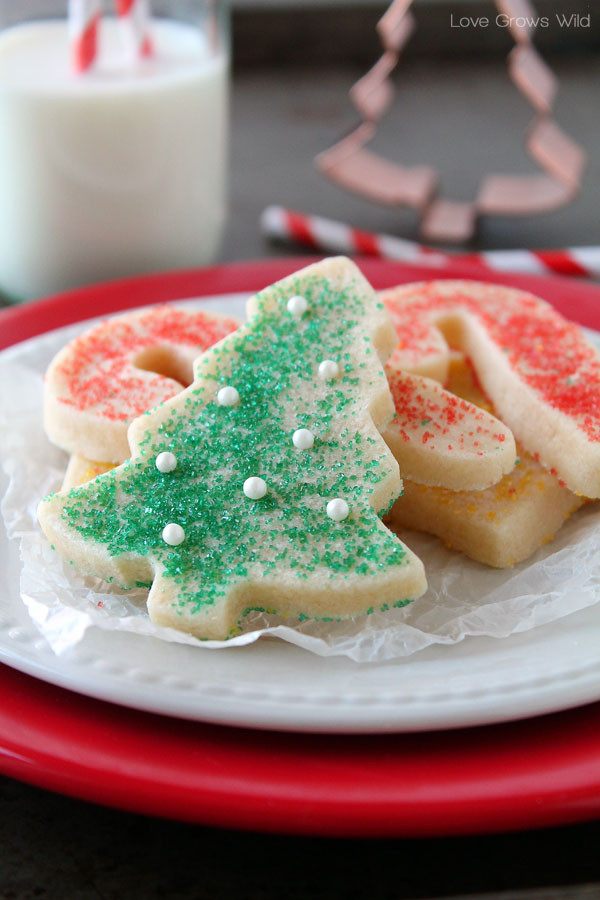 Best Sugar Cookies Recipe
 EchoPaul ficial Blog PERFECT SUGAR COOKIE CUT OUTS