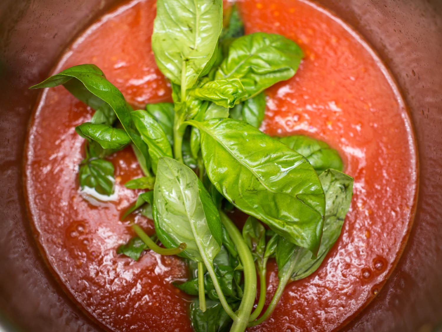 Best Tomato Sauce
 The Best Fresh Tomato Sauce Recipe