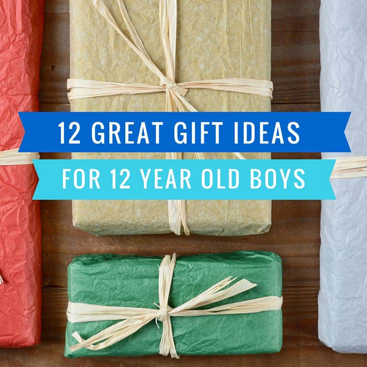 Birthday Gift Ideas 12 Year Old Boy
 12 Great Gift Ideas for a 12 Year Old Boy Mom in the City