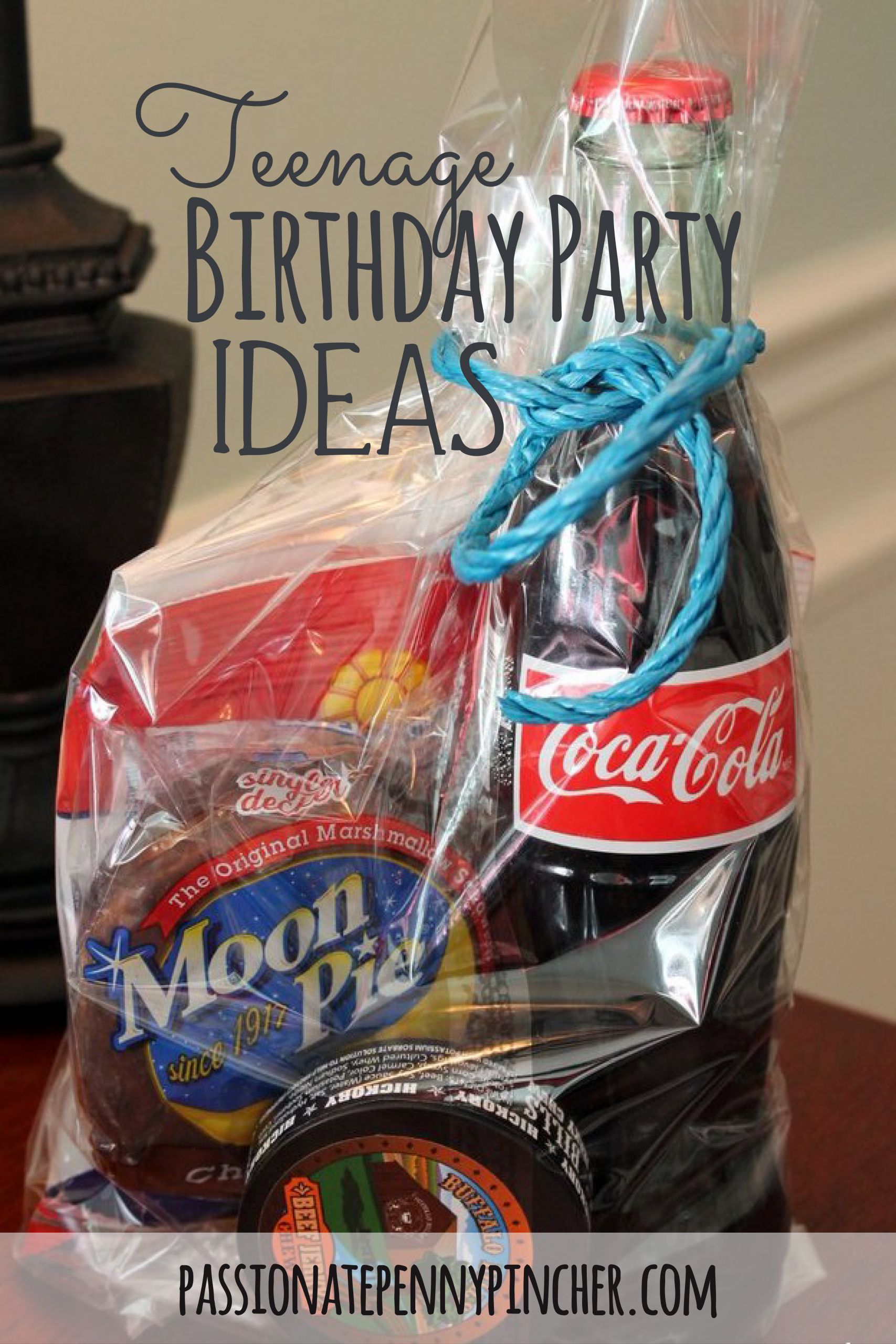Birthday Gift Ideas For Boys
 Teenage Boy Birthday Party Ideas Passionate Penny Pincher