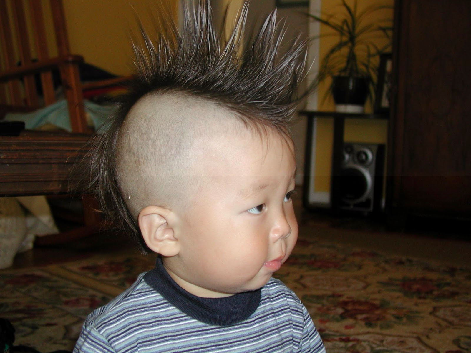 Boy Kids Hair Cut
 Kids Hairstyle Amazing & Trendy Hairstyles for Boys