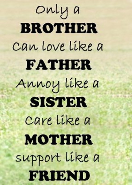 Brother Birthday Quotes From Sister
 The 100 Greatest Brother Quotes And Sibling Sayings