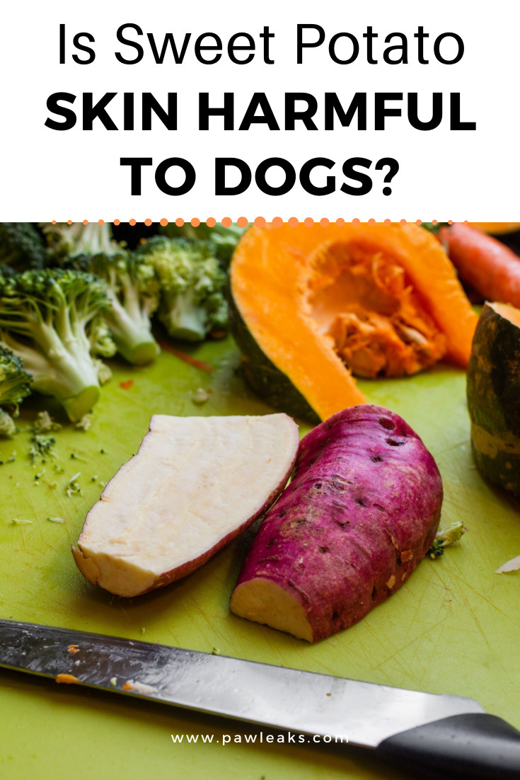 Can You Eat Sweet Potato Skin
 Can Dogs Eat Sweet Potato Skin Benefits & Risks in 2020