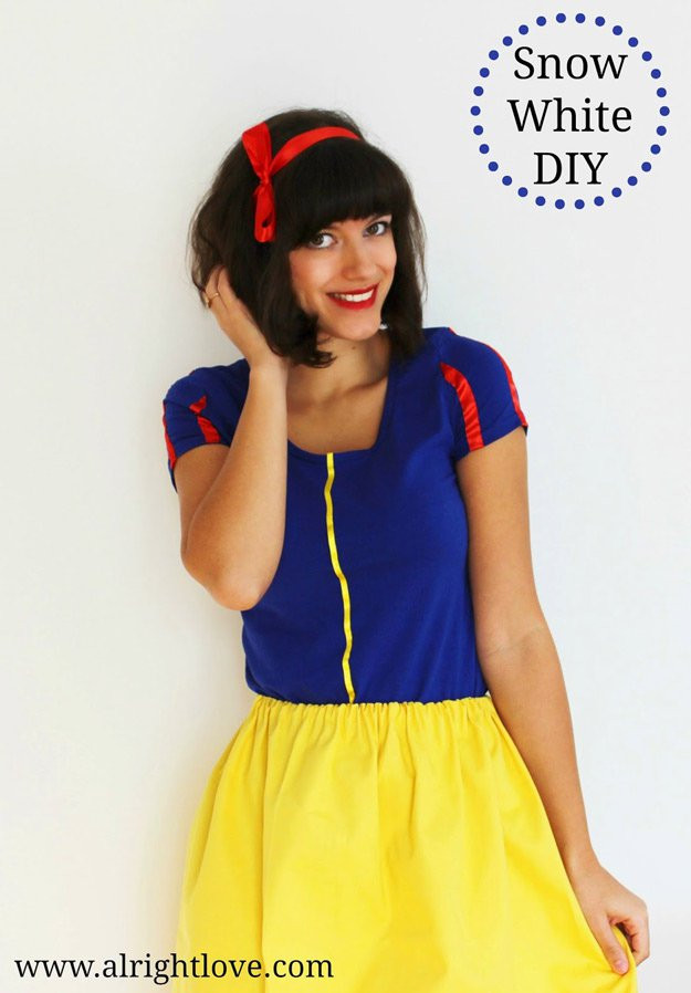 Cheap DIY Halloween Costumes For Adults
 Halloween Costumes for Adults DIY Projects Craft Ideas