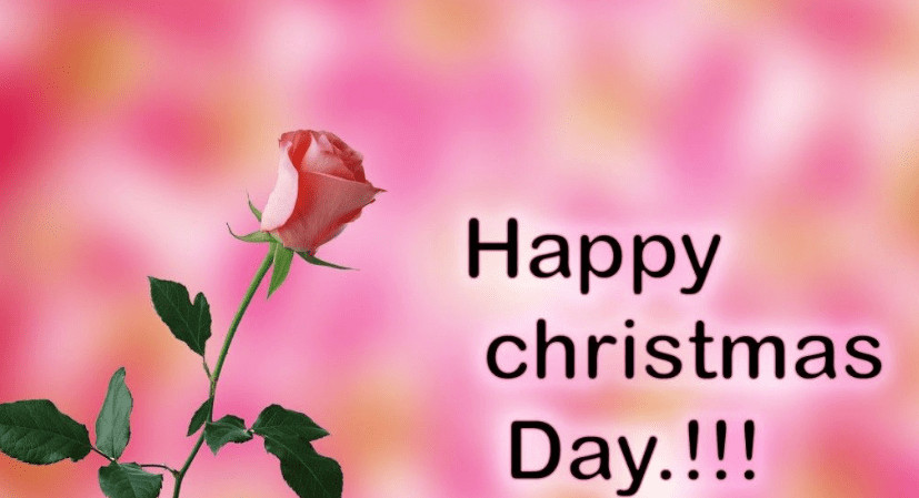 Christmas Day Quotes
 Happy Christmas Day Quotes Messages and Wishes