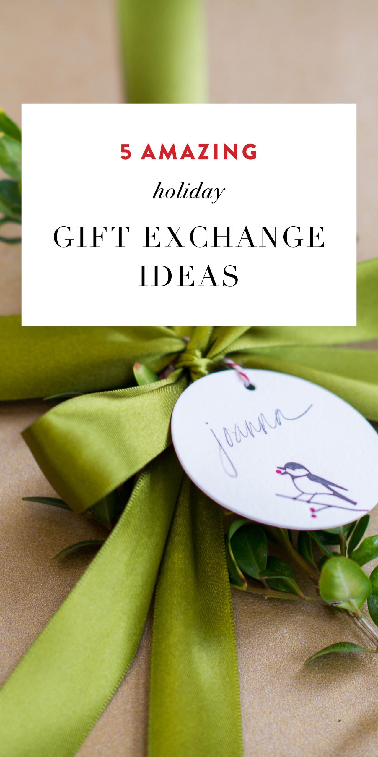 Christmas Gift Swap Ideas
 5 Amazing Holiday Gift Exchange Ideas