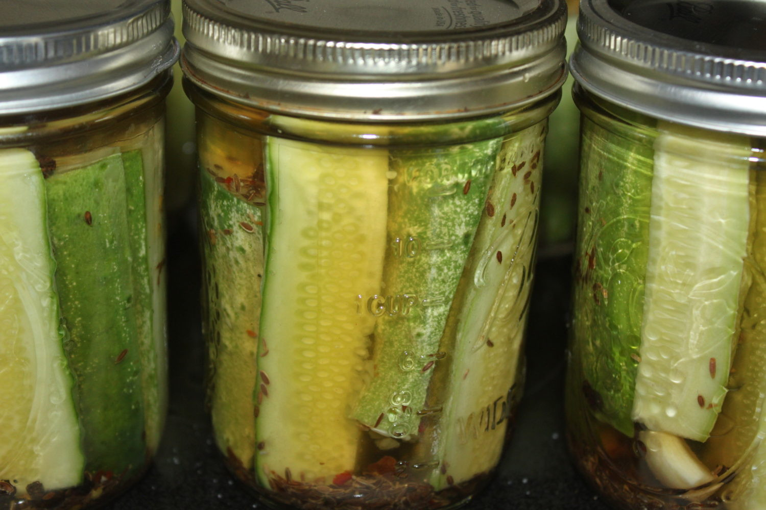 Dill Pickles Recipe For Canning
 Refrigerator Dill Pickles Recipe No Canning Required