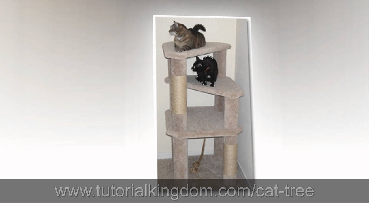 DIY Cat Condo Plans
 [Watch] Cat Condo DIY Plans Build Your Own Cat Tree