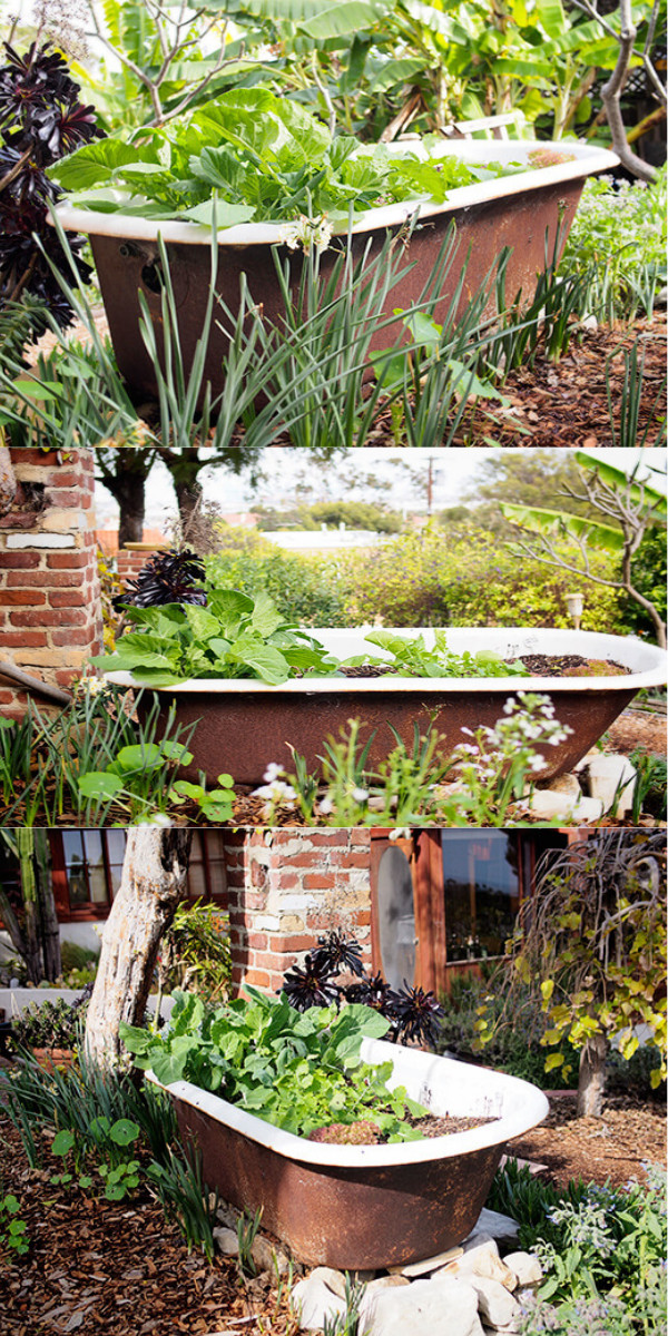DIY Garden Decoration Ideas
 DIY Garden Decorating Ideas For Your Garden • DIY Home Decor