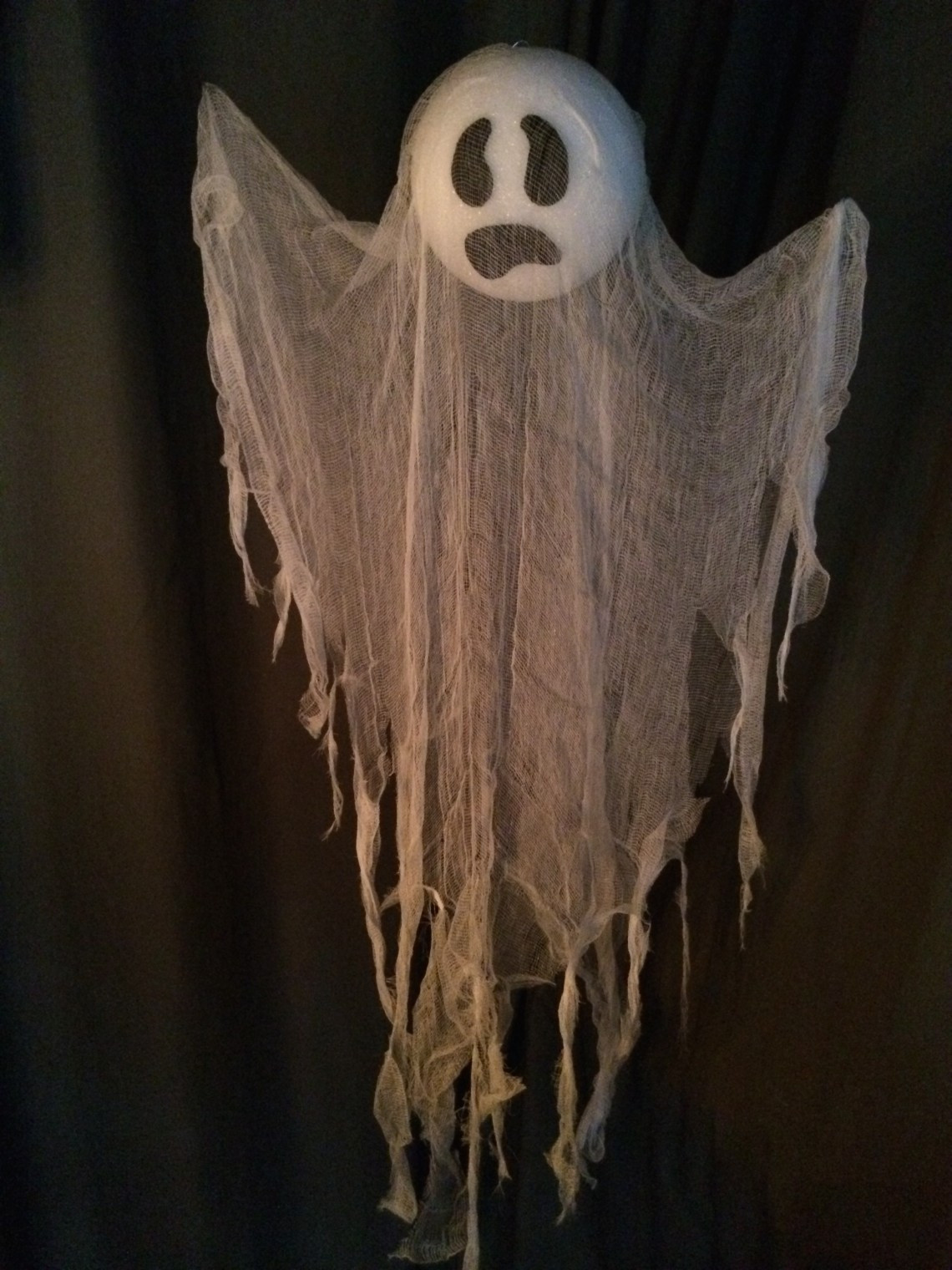 DIY Halloween Ghost Decorations
 5 Easy Creepy Yet Classy Halloween Party Decorations [on a