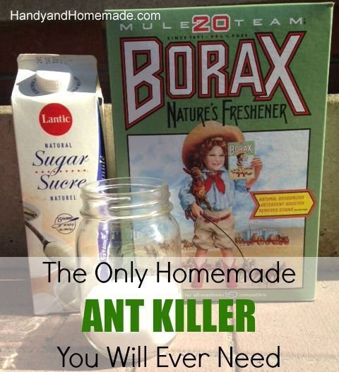 DIY Outdoor Ant Killer
 1000 images about Gardening tips and ideas on Pinterest