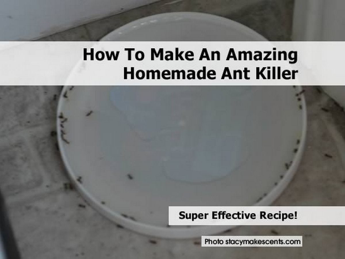 DIY Outdoor Ant Killer
 How To Make An Amazing Homemade Ant Killer