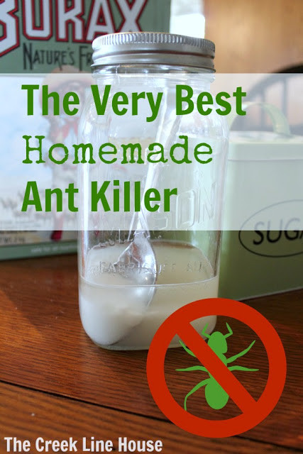 DIY Outdoor Ant Killer
 How To Make Your Own Ant Killer