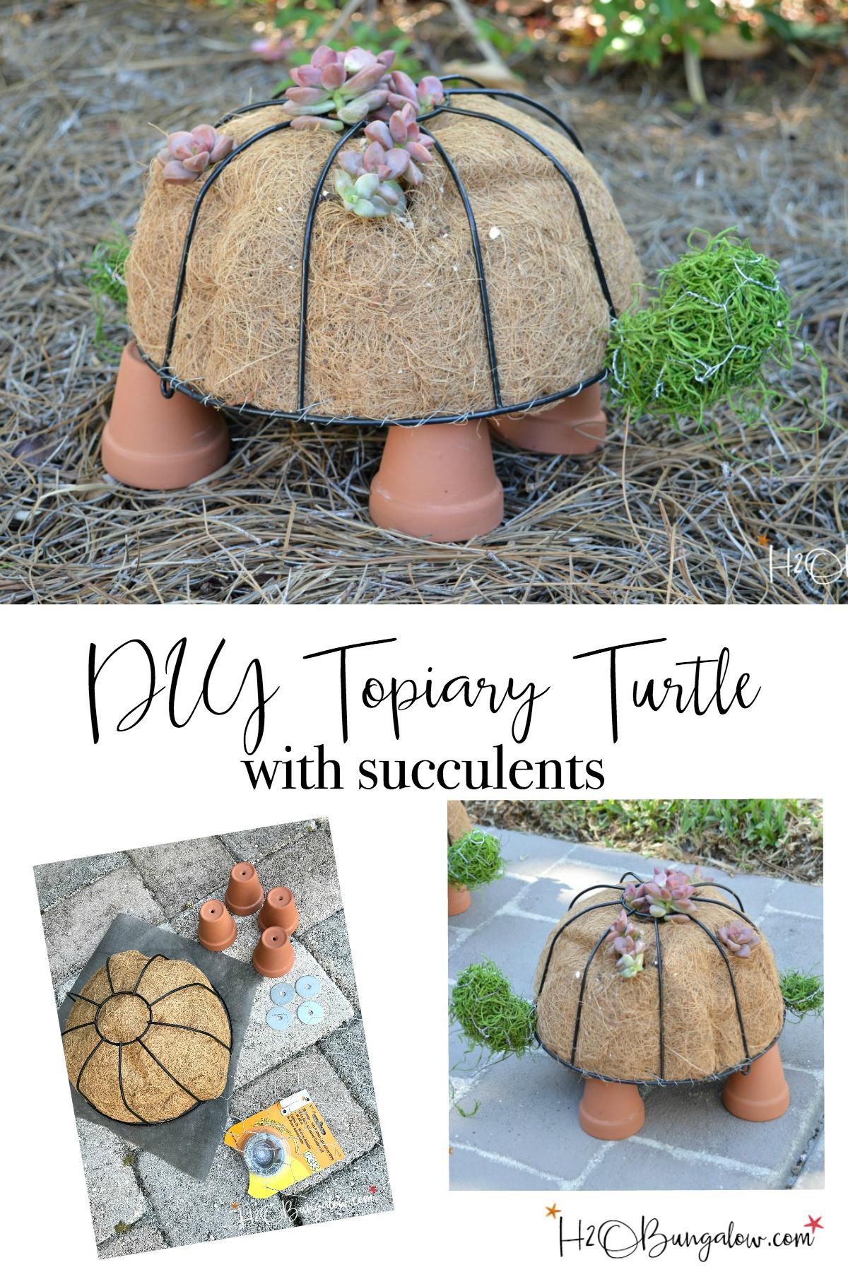 DIY Outdoor Art
 How to Make a DIY Turtle Topiary H2OBungalow