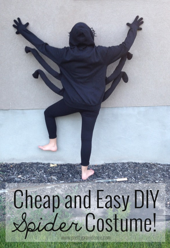 DIY Spider Costume For Adults
 Cheap and Easy DIY Spider Costume Pretty Providence