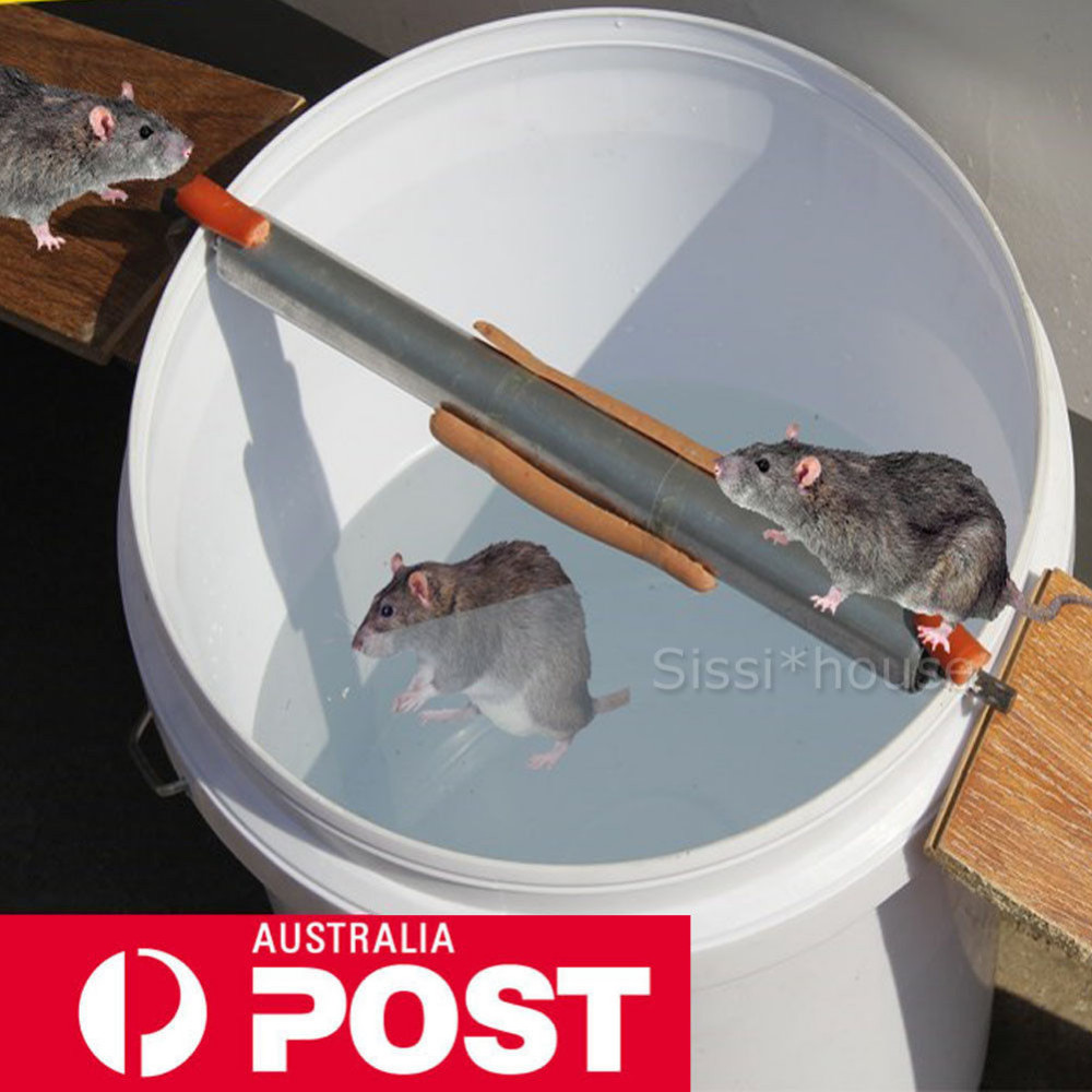DIY Walk The Plank Mouse Trap Plans
 Walk The Plank Mouse Trap Catch Auto Reset Humane Bucket