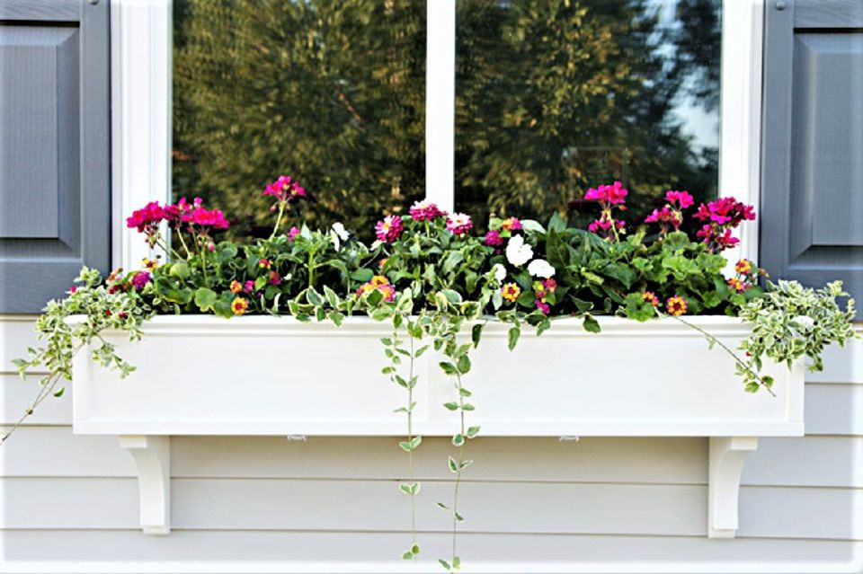 DIY Window Boxes
 9 DIY Window Box Ideas for Your Home
