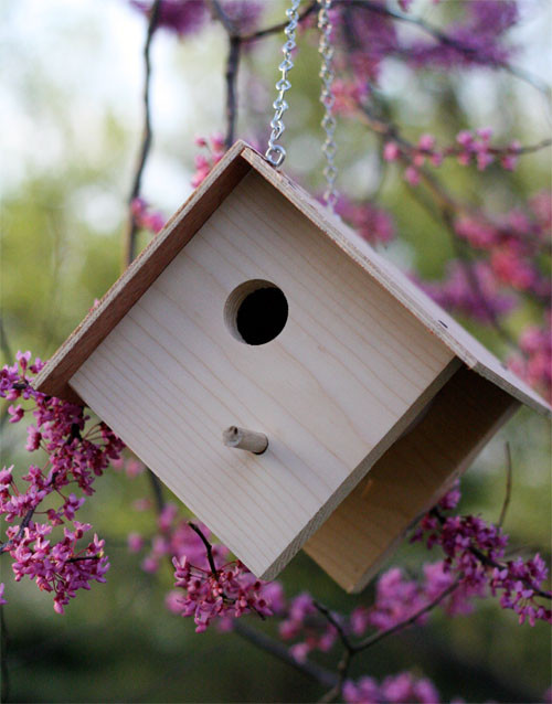 DIY Wooden Bird House
 How to build a wooden birdhouse