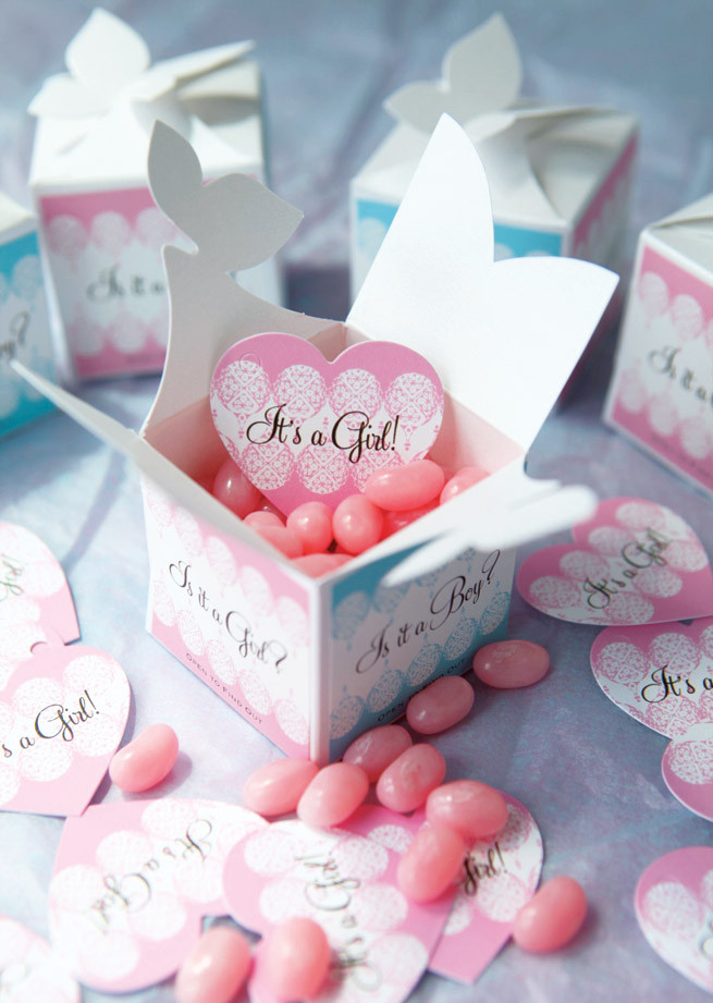 Gift Ideas For Baby Gender Reveal Party
 Baby Gender Reveal Gifts Party Inspiration