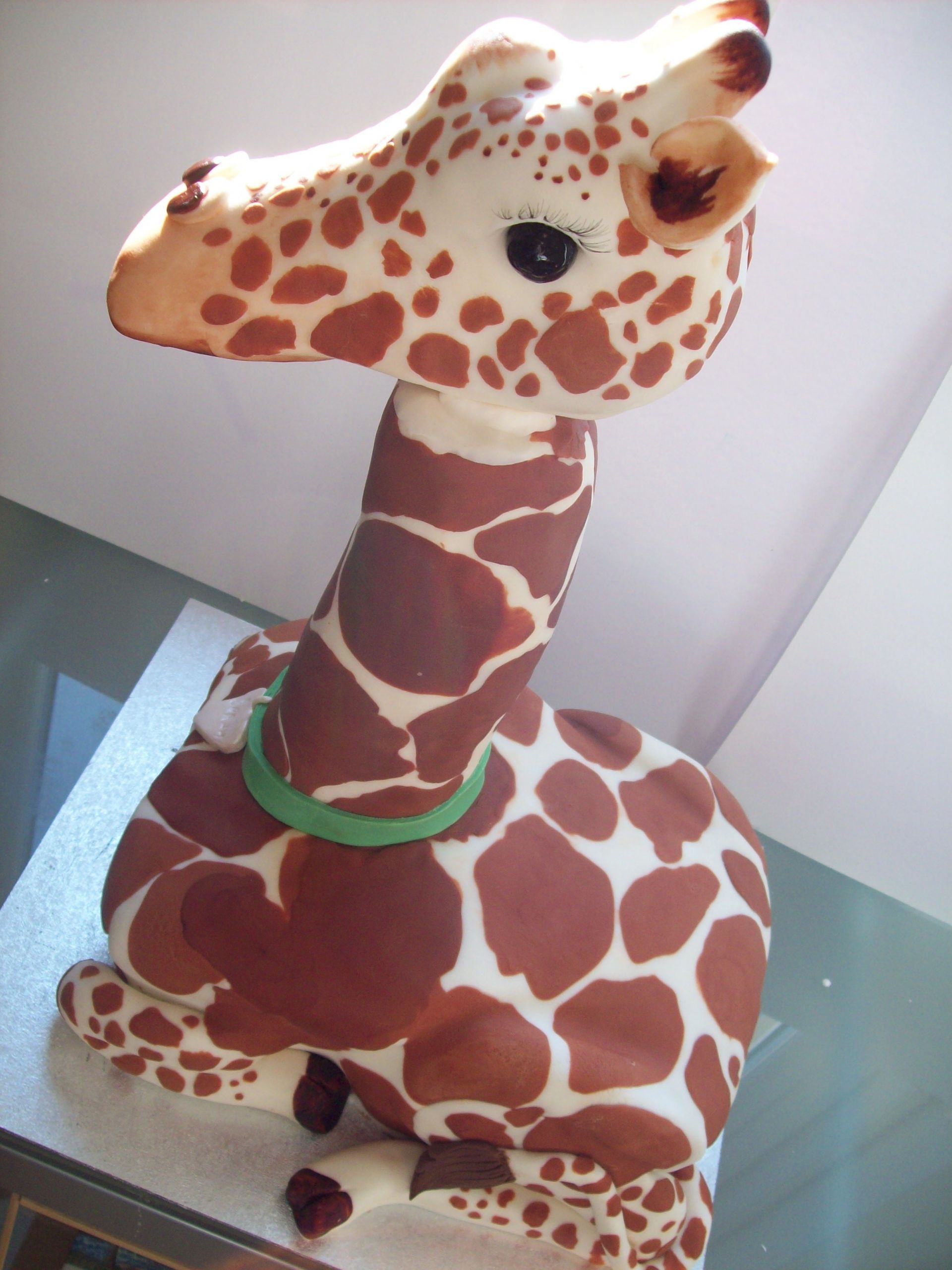 Giraffe Birthday Cake
 November 2009
