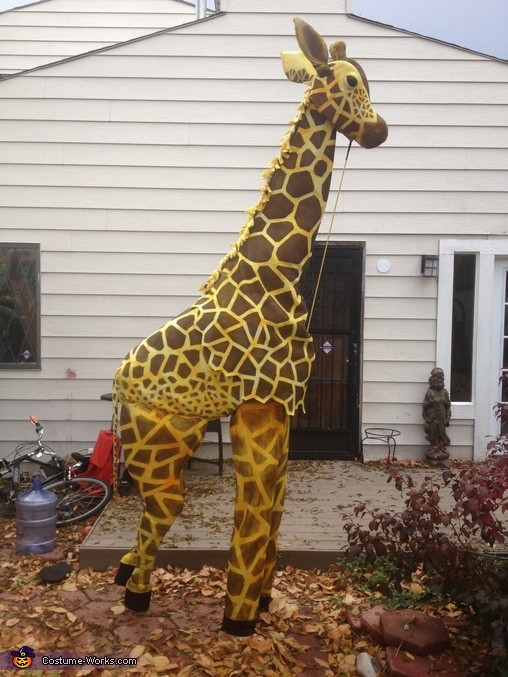 Giraffe Costume DIY
 Giraffe Halloween Costume