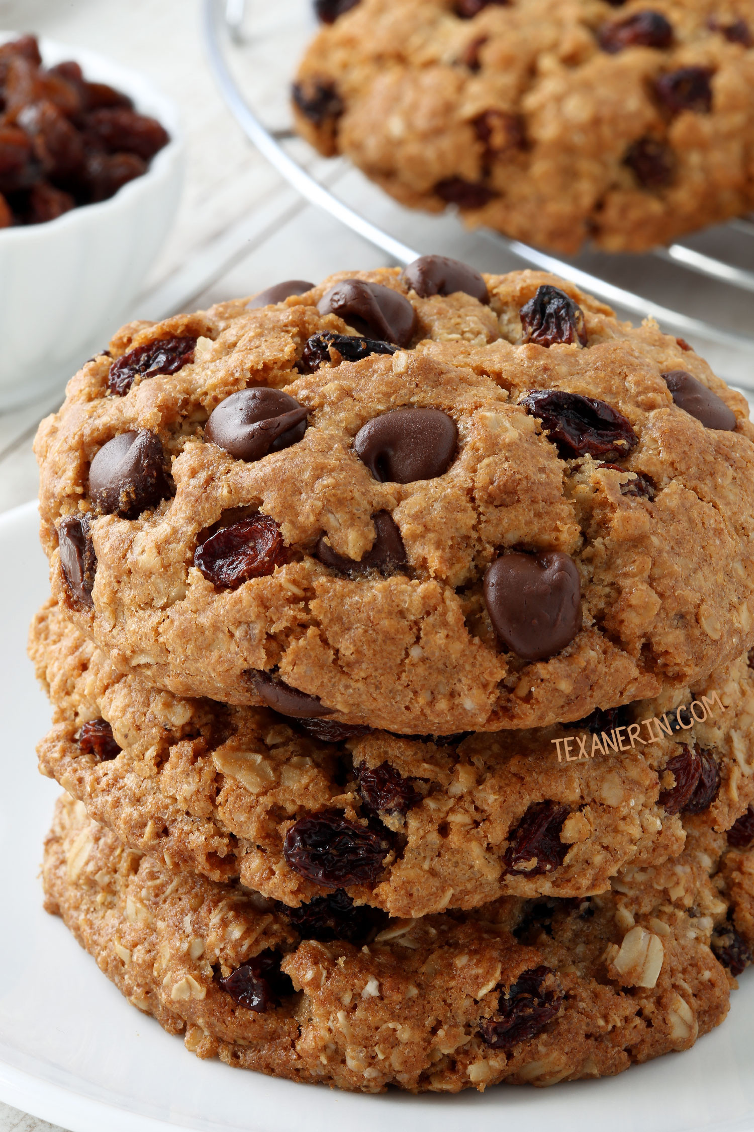 Gluten Free Oatmeal Recipes
 20 Gluten free Cookies You ll Want to Inhale Texanerin