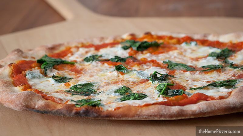 Gourmet Pizza Dough Recipe
 Pin on PIZZA
