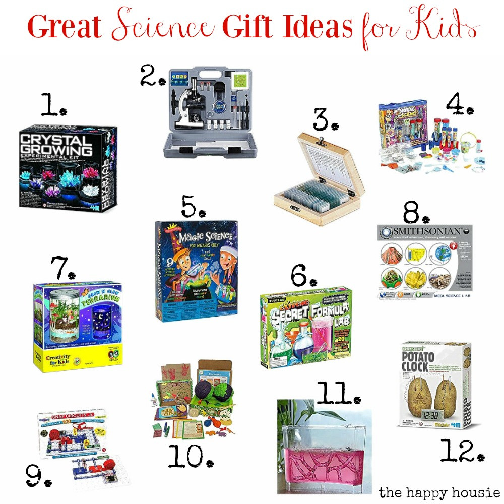 Great Gift Ideas For Kids
 Great Science Gift Ideas for Kids