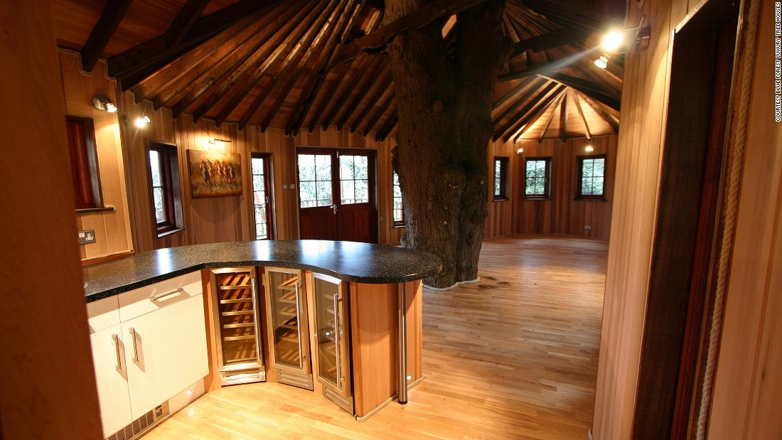 Home For Adults
 Is the treehouse the pinnacle of sustainable living CNN
