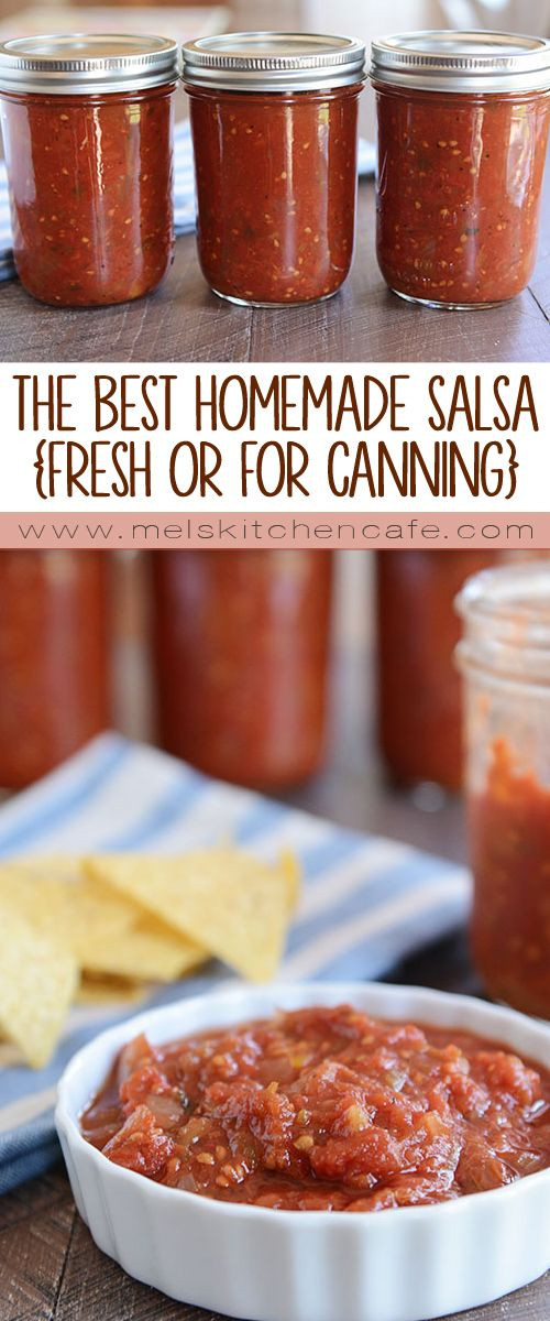 Homemade Salsa Recipe For Canning
 The Best Homemade Salsa Recipe