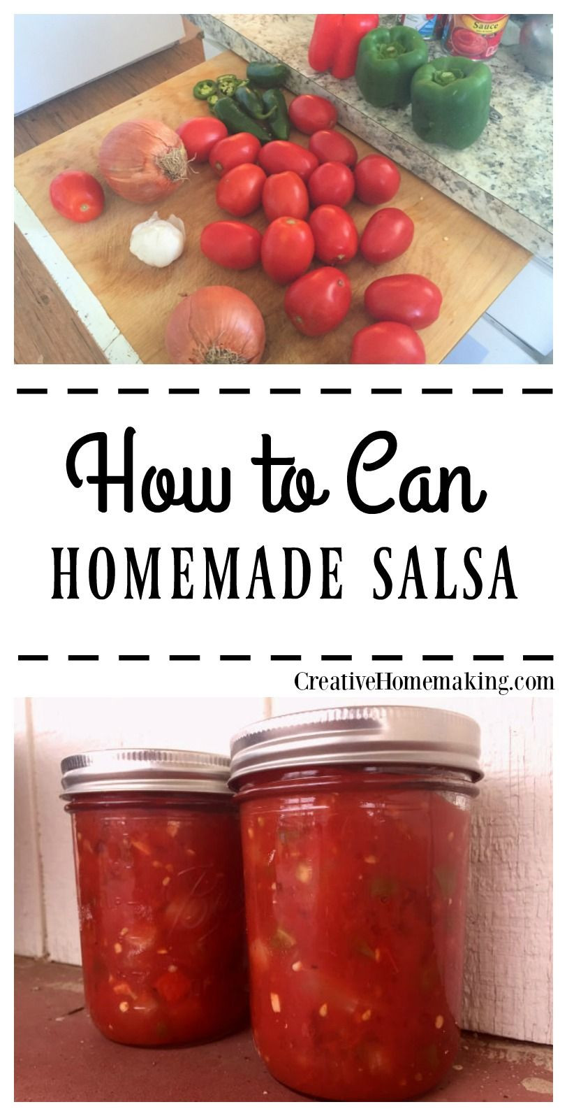 Homemade Salsa Recipe For Canning
 Best Salsa Recipe for Canning