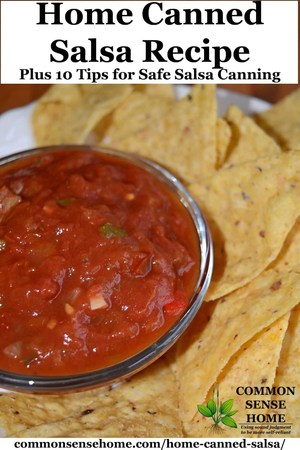 Homemade Salsa Recipe For Canning
 Home Canned Salsa Recipe Plus 10 Tips for Canning Salsa