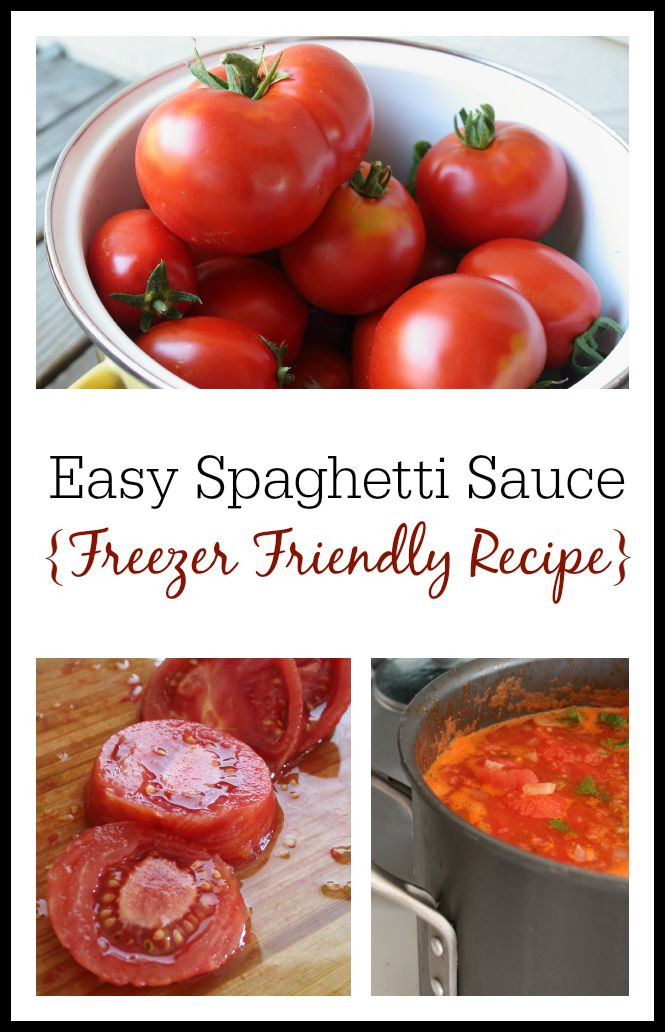 Homemade Spaghetti Sauce From Fresh Tomatoes
 How to Make Spaghetti Sauce from Fresh Tomatoes Freezer