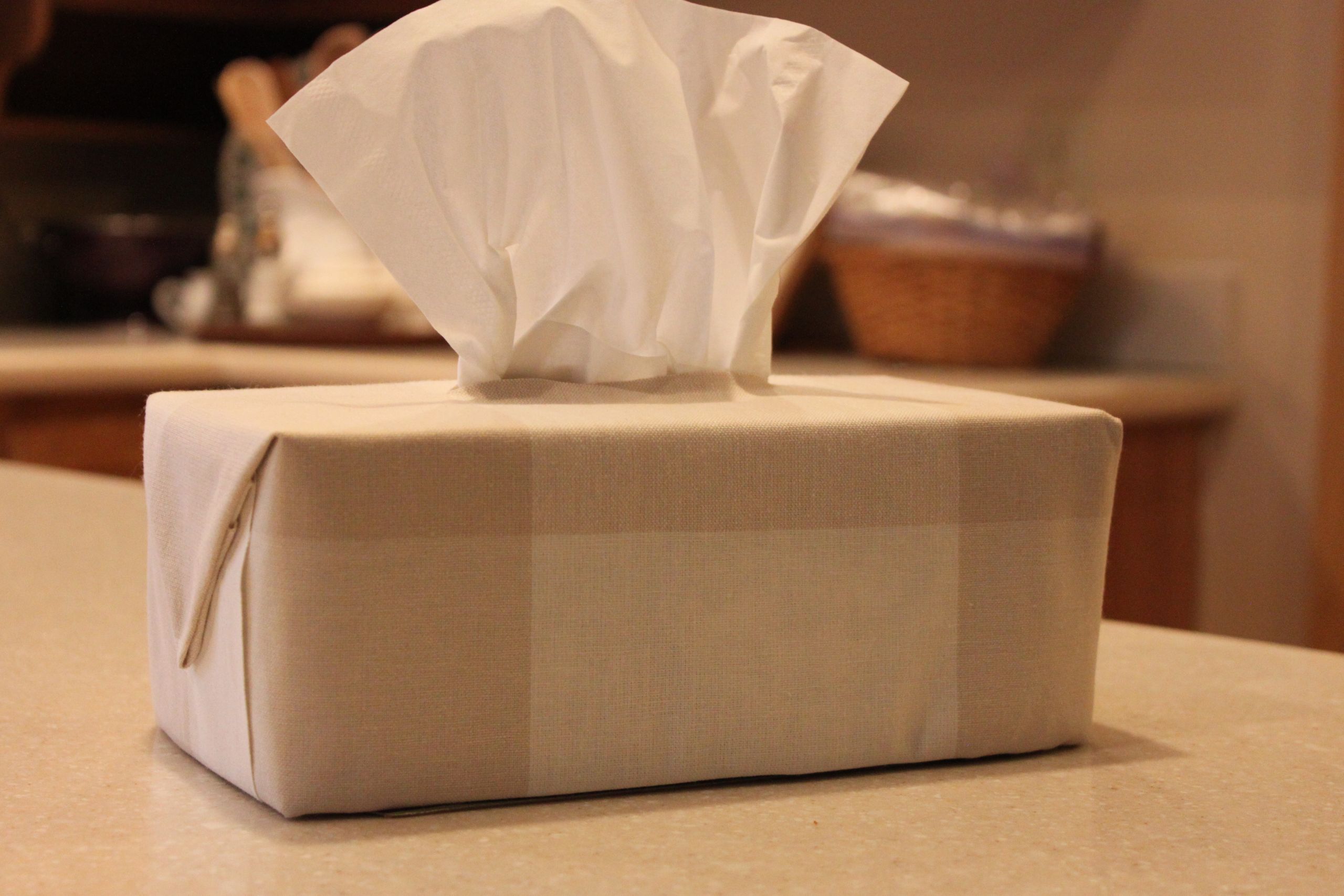 Kleenex Box Covers DIY
 DIY tissue box cover