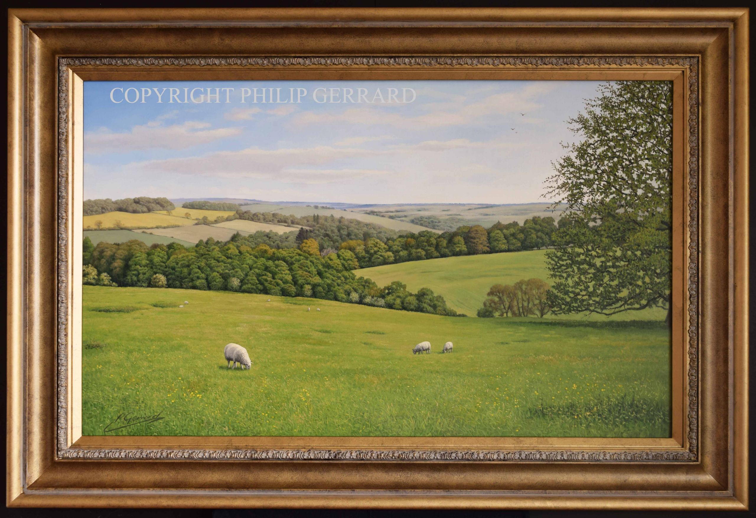 Landscape Paintings For Sale
 COTSWOLD LANDSCAPE PAINTINGS FOR SALE UK