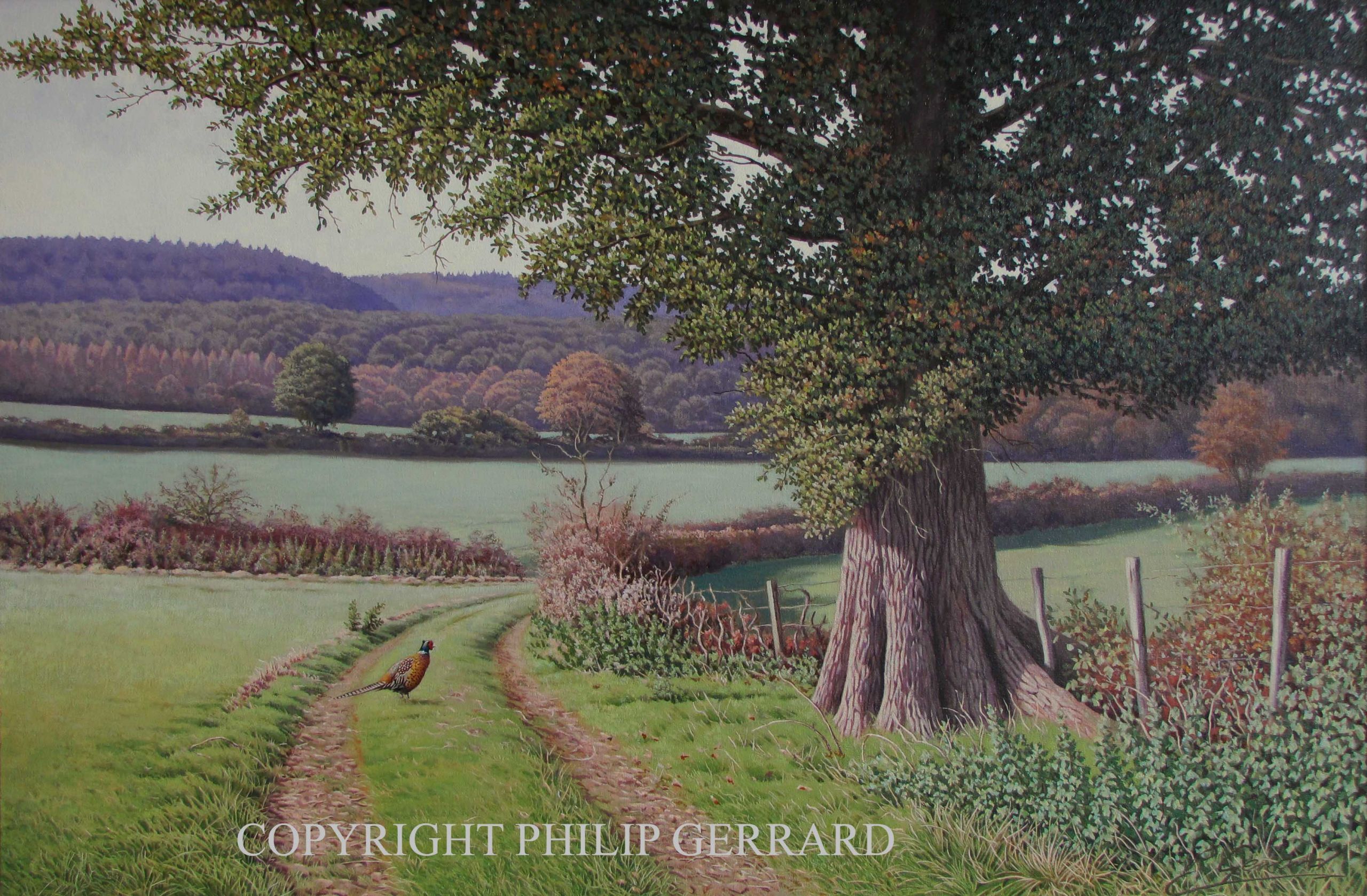 Landscape Paintings For Sale
 PHILIP GERRARD OIL PAINTINGS UK