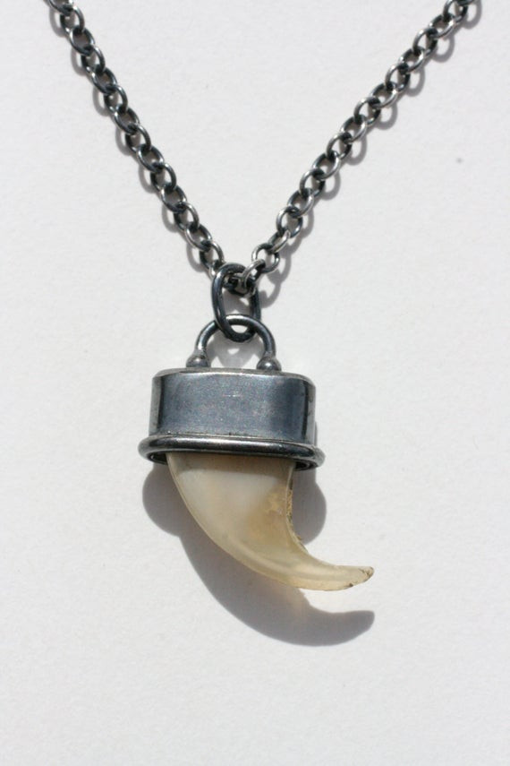 Lion Claw Necklace
 Lion claw necklace