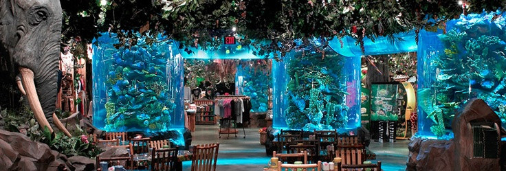 Living Color Aquarium
 Living Color Aquariums For over 20 years Living Color