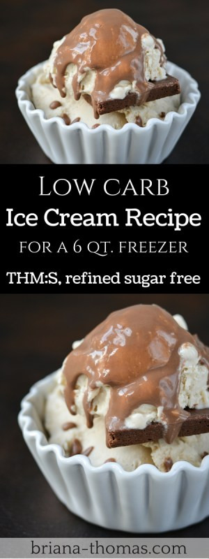 Low Carb Freezer Recipes
 6 qt Ice Cream Freezer Low Carb Ice Cream Recipe Briana