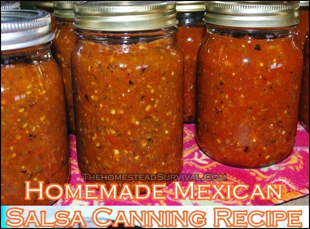 Mexican Salsa Recipe For Canning
 Canning Archives