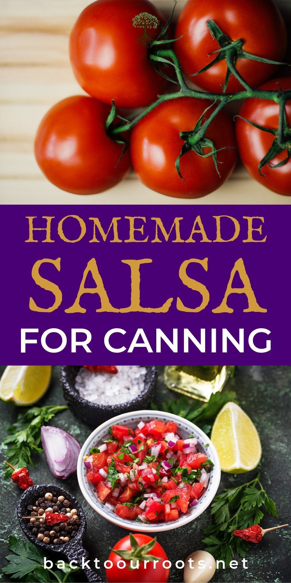 Mexican Salsa Recipe For Canning
 The Best Homemade Salsa Recipe for Canning