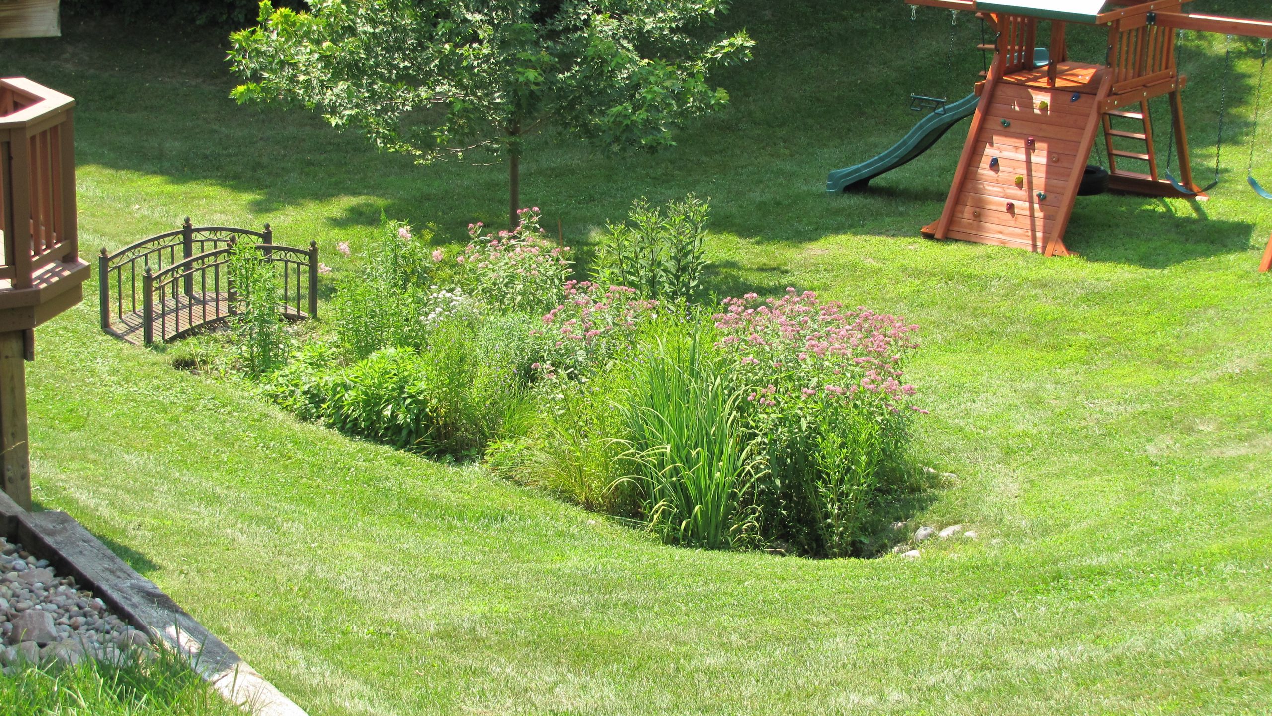 Outdoor Landscape Garden
 Rain Garden Design & Construction in Ann Arbor MI