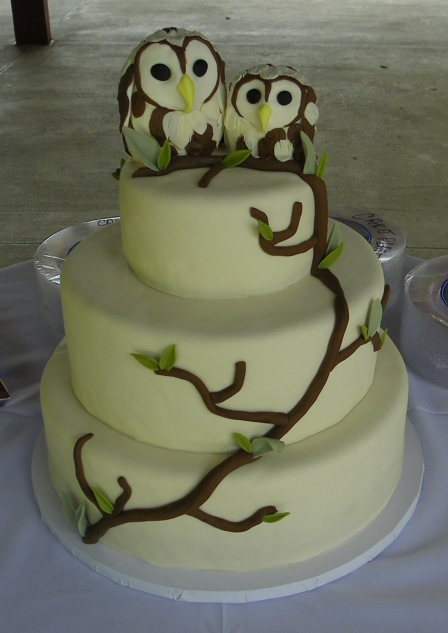 Owl Birthday Cakes
 Owl Cakes – Decoration Ideas